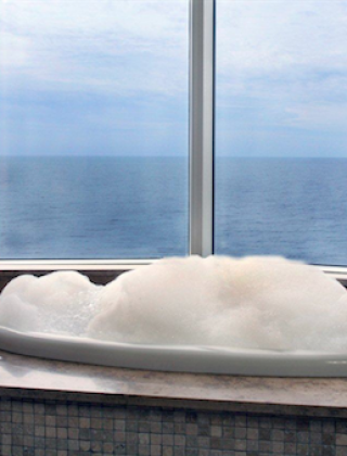Master Bath With A View…